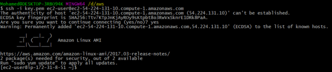 Aws Ec2 Install Docker