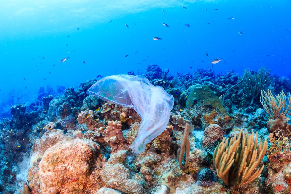 The Future Tech for Fighting Plastic Pollution