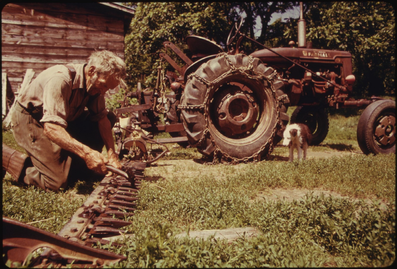 Iot Automated Farms The Future Of Sustainable Agriculture By - old timer roblox