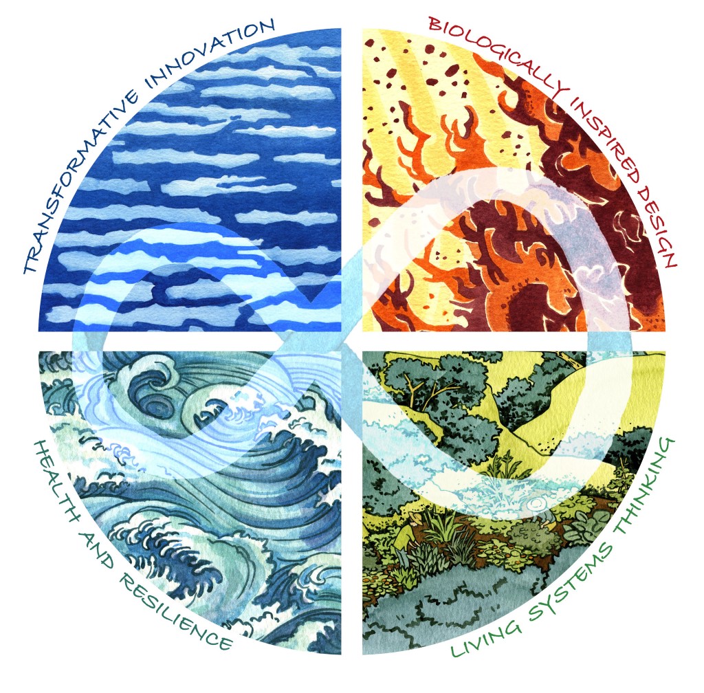 Musings on the reGeneration Rising & Designing Regenerative Cultures