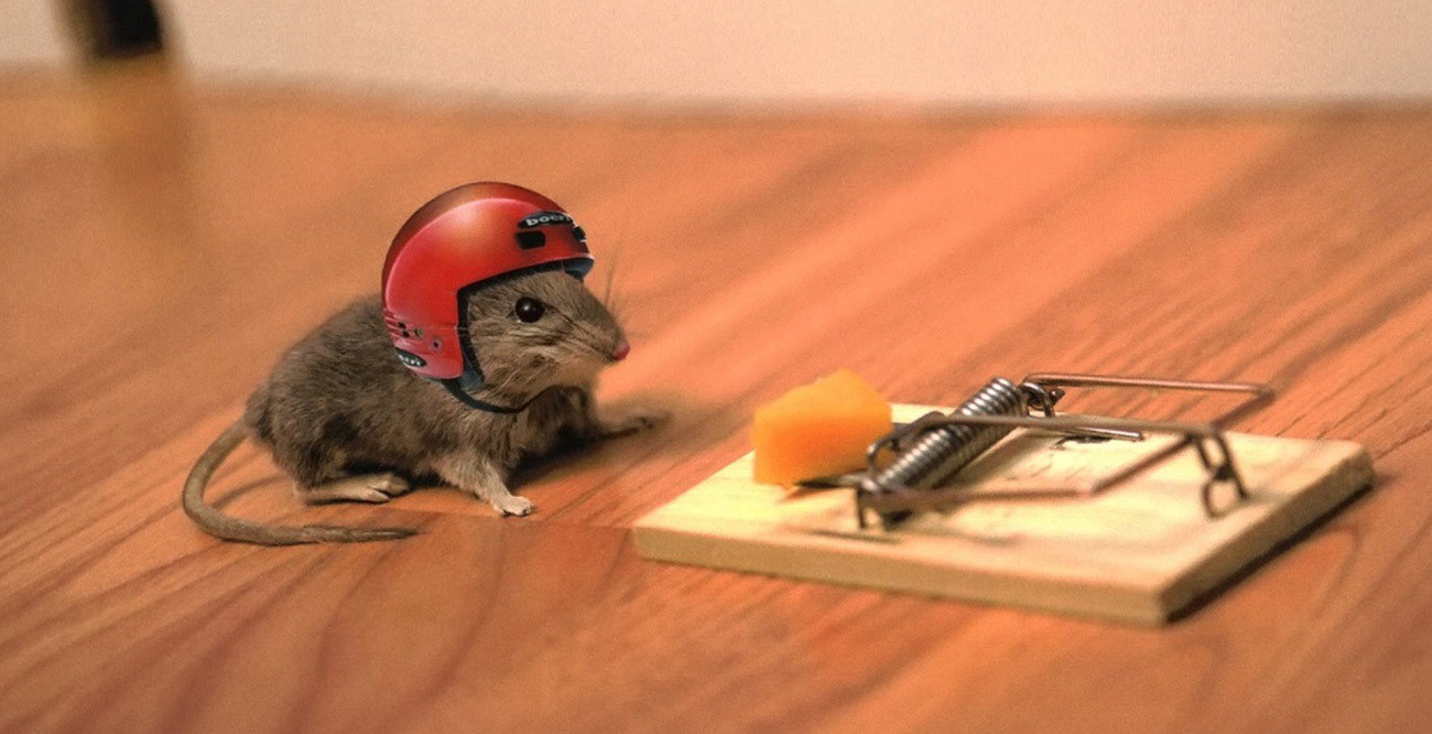 The Risky Game of Relying on a Junior Developers Team