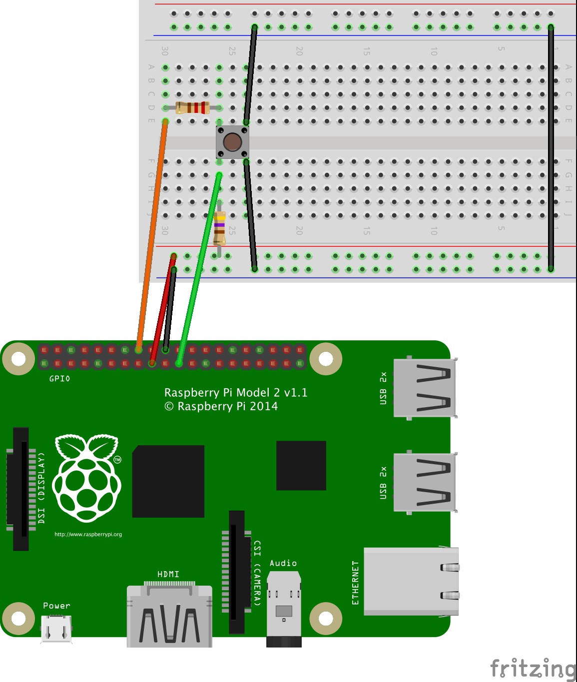 Pimp your pet cage with Raspberry PI ! | HackerNoon