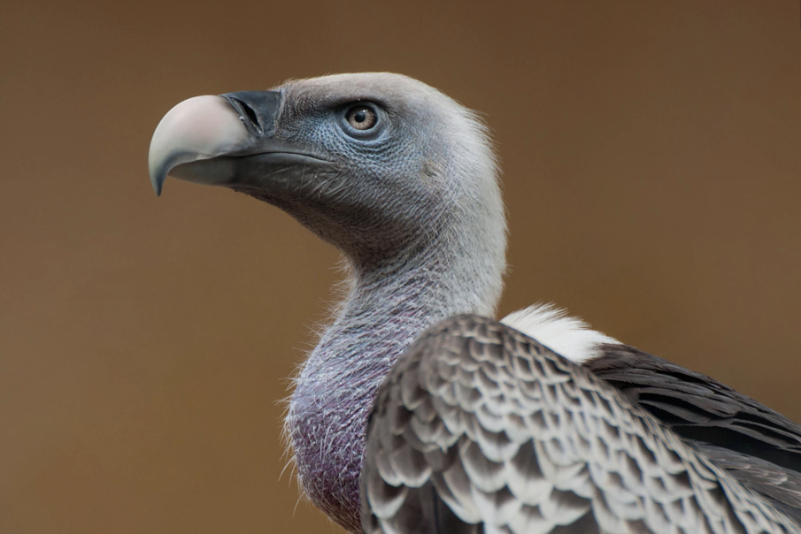 One Time, At a Cryptocurrency Conference