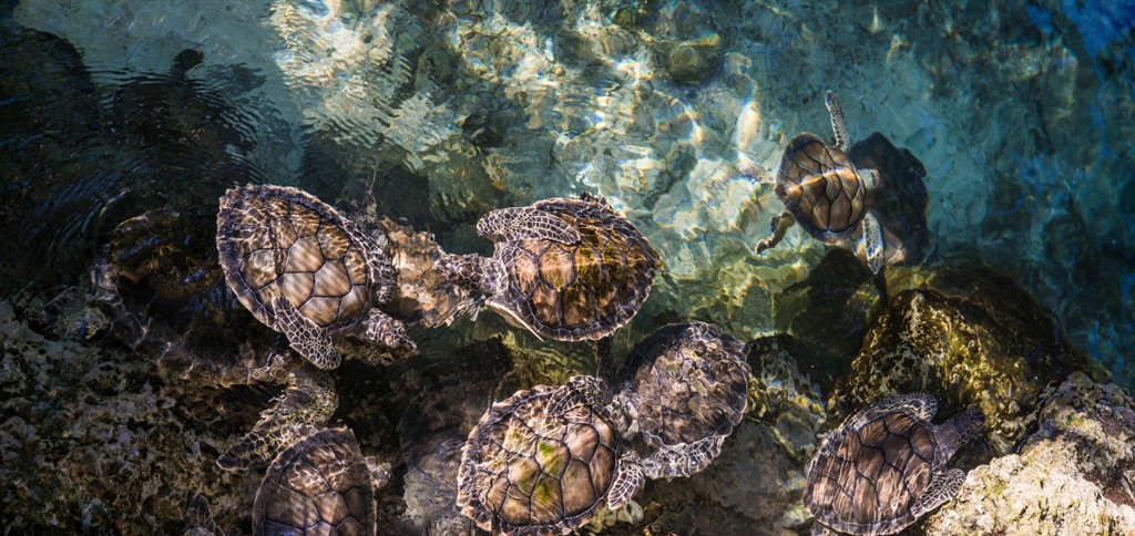 TabBar Items with Swift Enums