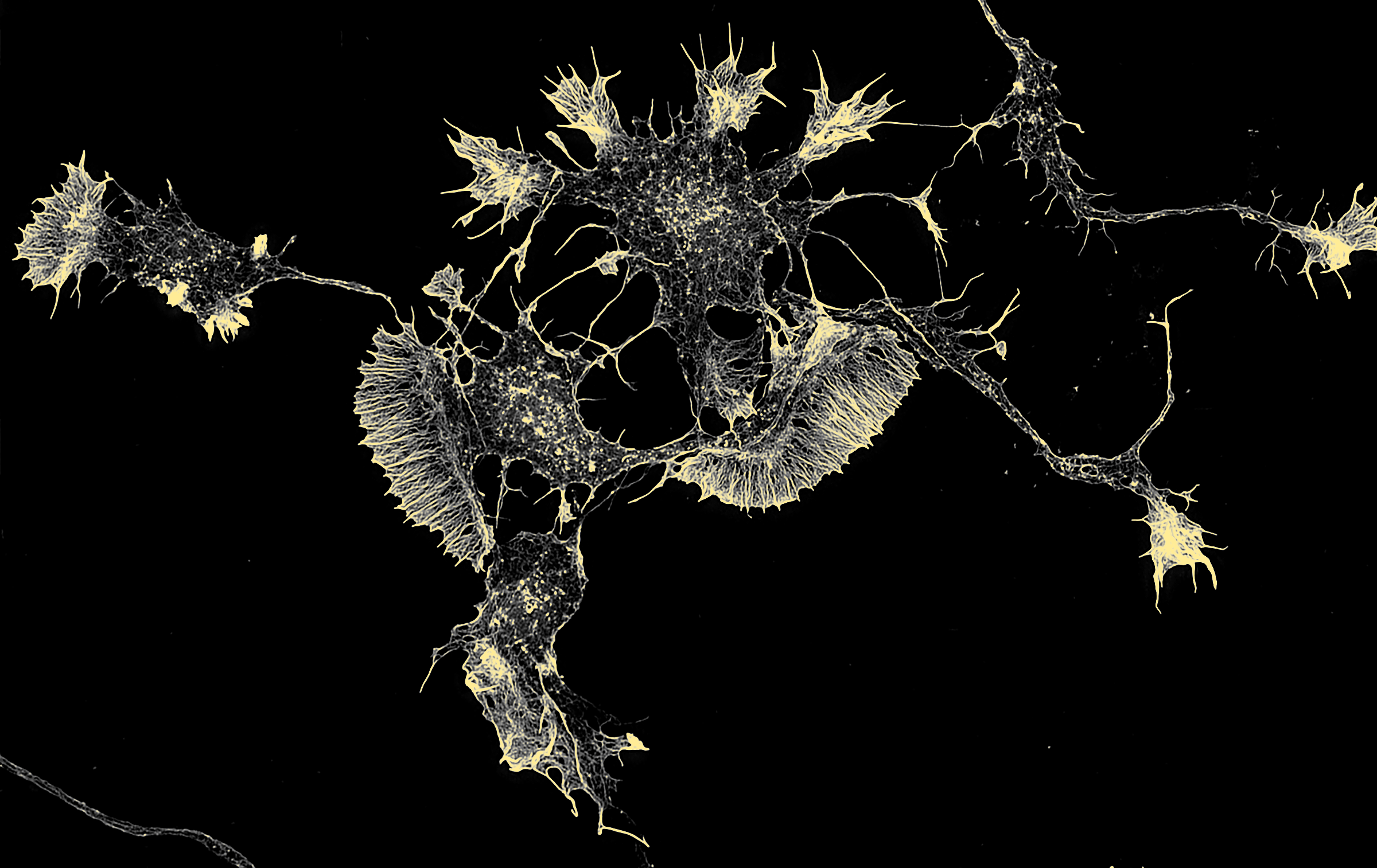 The Tourist’s Guide to Deep Learning