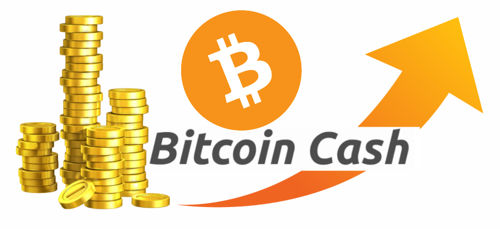 Why Did Bitcoin Cash Crash : Is Bitcoin Cash A Good Investment In 2021 Techbullion - An 84% crash from current prices, or even a 60% drop from black thursday standards, would take the price per coin back to between $11,000 to $24,000.