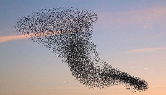 A Beginners Guide to Federated Learning