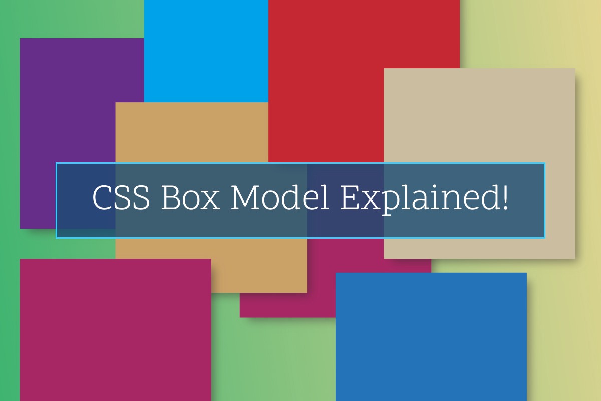 css box model assignment
