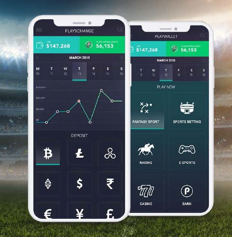 Would You Play Fantasy Sports with Cryptocurrency?