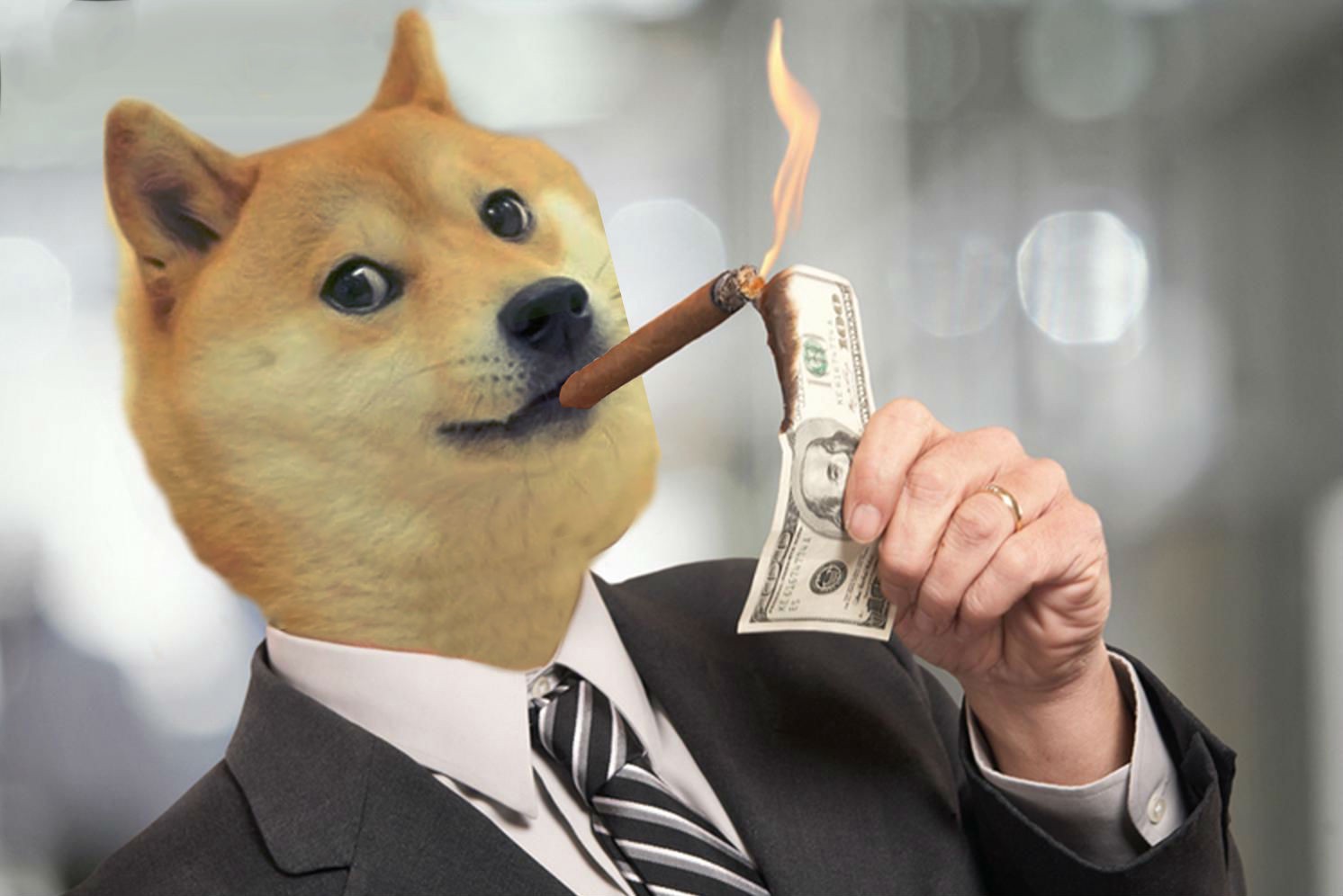 24 Lessons I Learned From Interviewing Over 45 Cryptocurrency - best roblox doge gifs gfycat