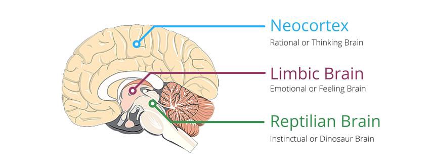 Elon Musk wants to give you super human cognitive powers | HackerNoon