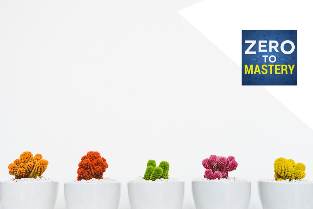 Full-time Developer in just a few months: Zero to Mastery case studies