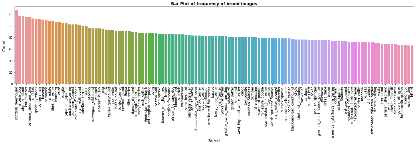 BEST IMAGE CLASSIFICATION MODELS 2022 visual data 6