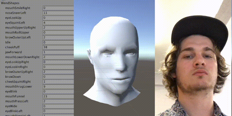 Real-time Facial Performance Capture with iPhone X