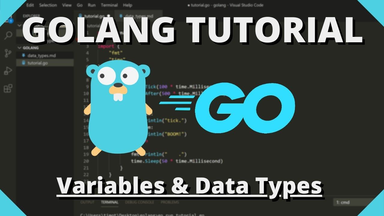 An Introductory Guide to Variables and Data Types in Go