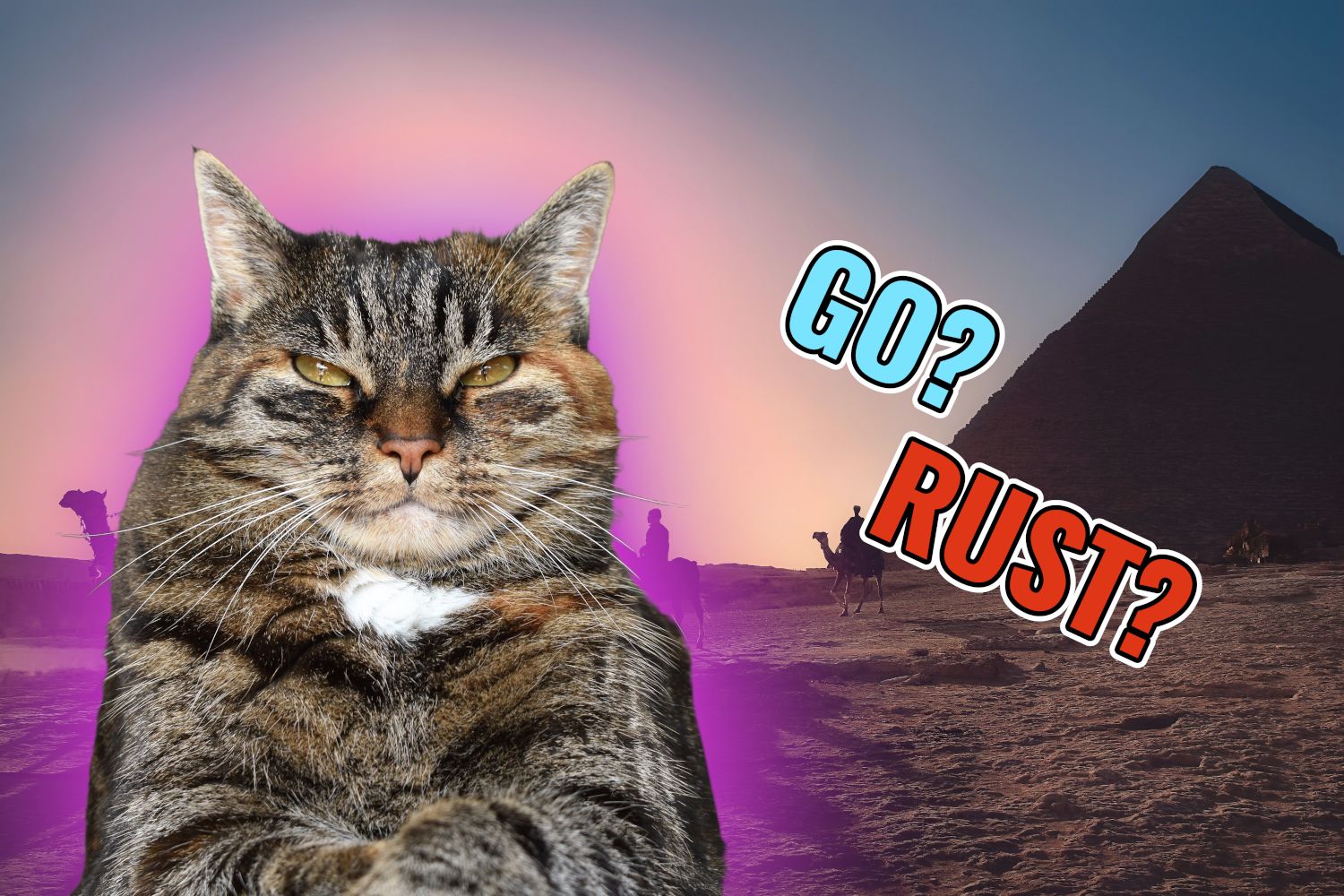 Go vs Rust: A Sto-array of Arrays