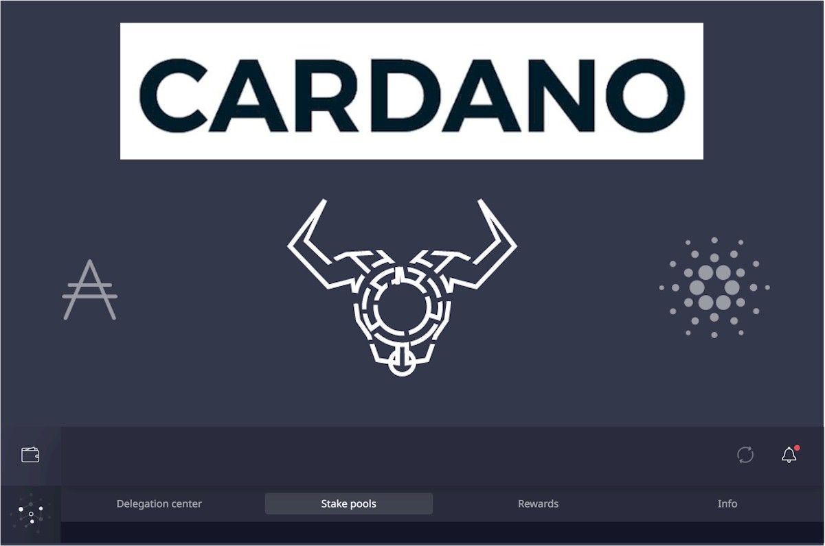 Choosing The Best Cardano Stake Pool The Pros And Cons Of Cardano Staking Hacker Noon