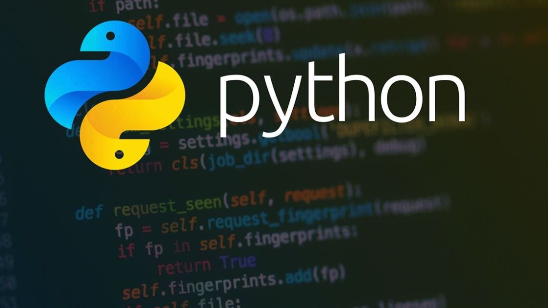 Reinventing the Python Logo: Interview with a UI Designer